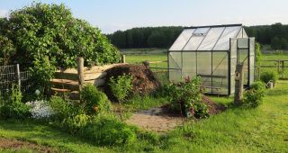 Attēls rakstam: Pavasaris mudina rosīties siltumnīcā