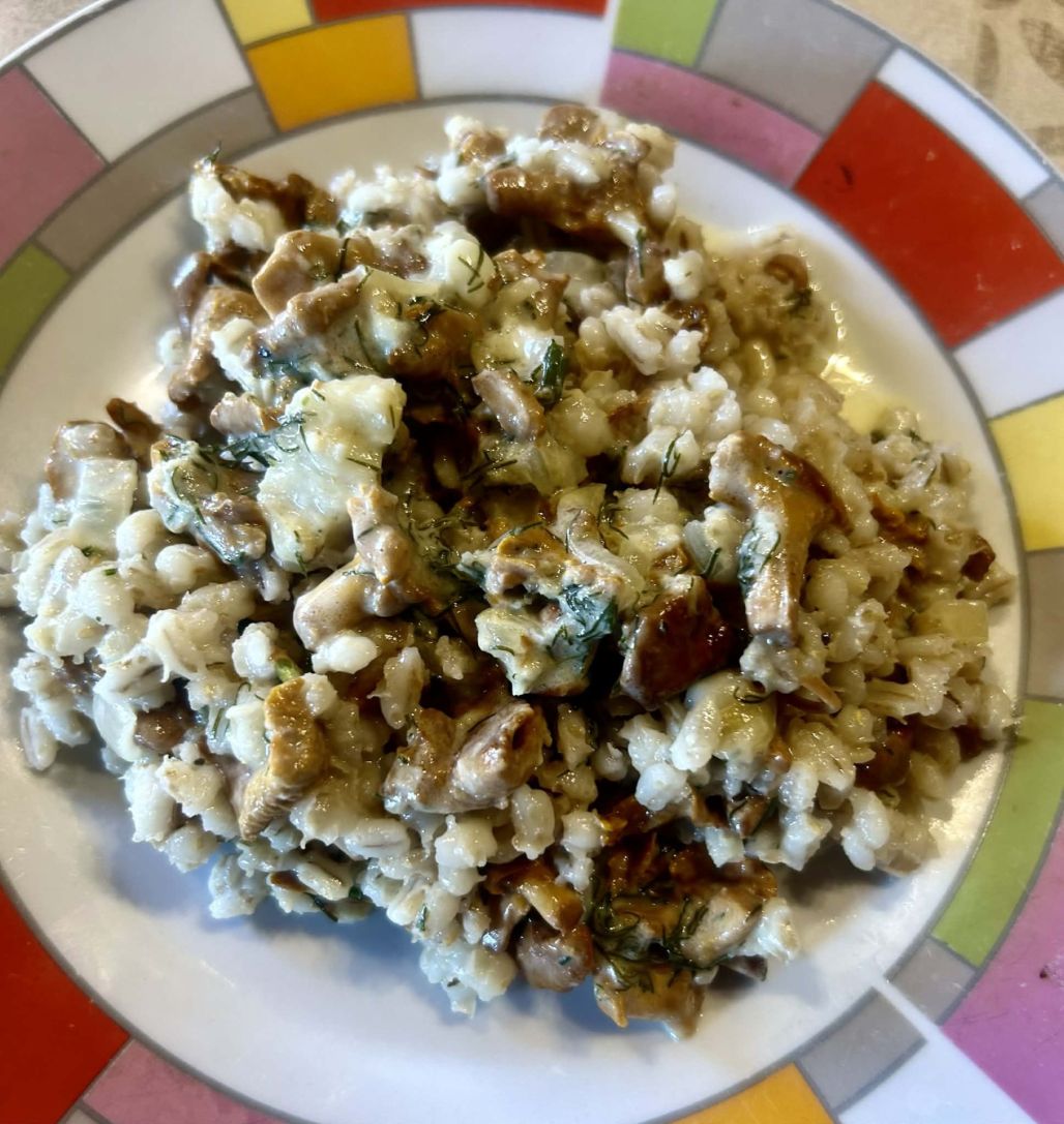 Pērno gaileņu un grūbu risoto