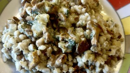 Attēls rakstam: Pērno gaileņu un grūbu risoto