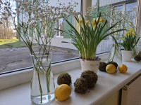 Pavasaris ienācis Riebiņu pamatskolā