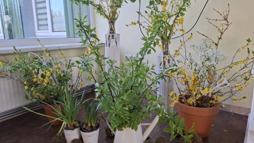 Attēls rakstam: Pavasaris ienācis Riebiņu pamatskolā