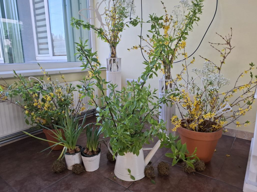 Pavasaris ienācis Riebiņu pamatskolā