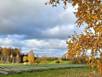 Aija Rancāne: Lavandrūtu rudens fotostāstos