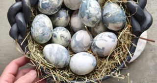 Attēls rakstam: Lieldienu oliņu parāde