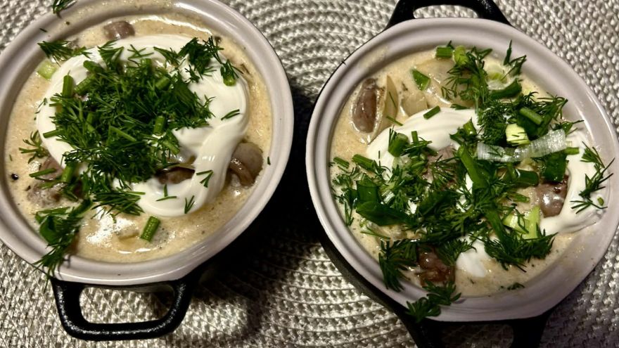 Attēls rakstam: Vistu sirsniņu žuljens: