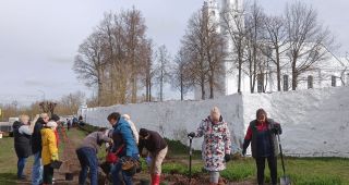Attēls rakstam: Viļānos pie katoļu baznīcas talcinieki stādīja hortenzijas