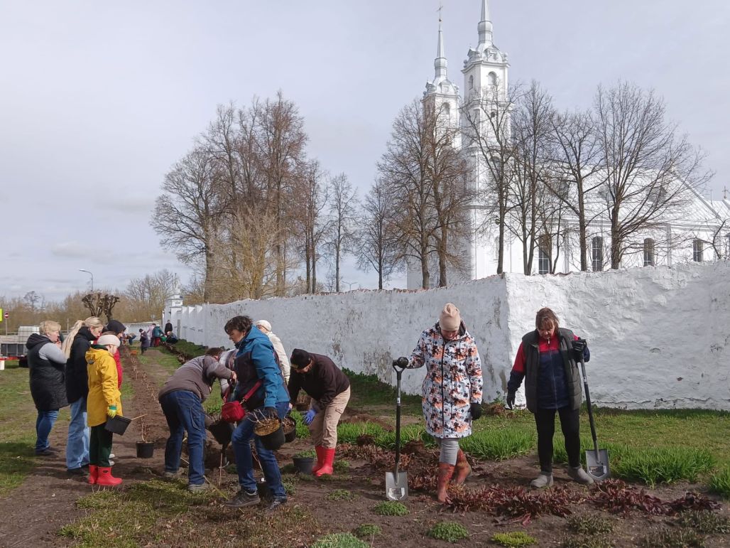 Viļānos pie katoļu baznīcas talcinieki stādīja hortenzijas