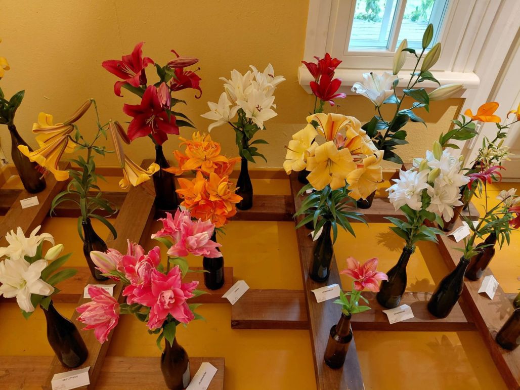 Raiņa "Jasmuiža" rotājās lilijās