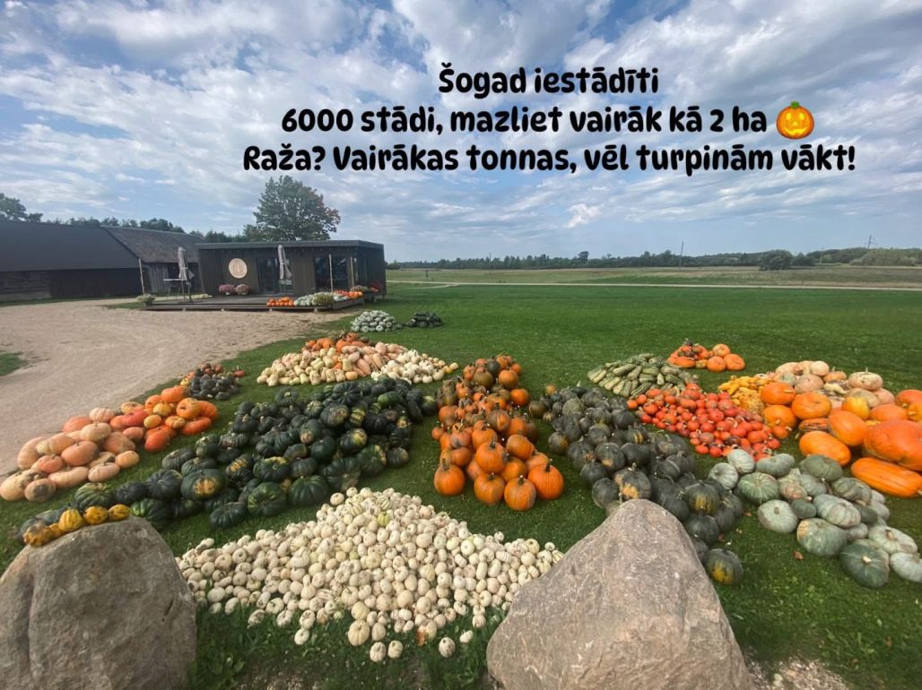 Stabļovas ķiploks: Ķirbju parāde