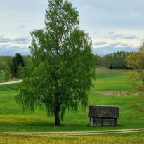 Jekaterinas Gabrusjonokas pavasarmirklis Latgalē

Egita Terēze Jonāne, egitalobs@gmail.com

#lobs_lv #pavasarmirklis #jekaterinagabrusjonoka #latgale #dzivessvinesana