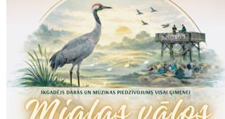 Attēls rakstam: Putnu salā "Gulbji" satiksies daba, mūzika un cilvēks