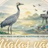Attēls rakstam: Putnu salā "Gulbji" satiksies daba, mūzika un cilvēks
