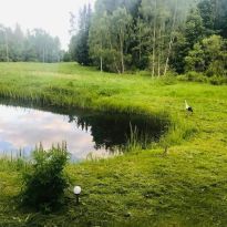 Valentīnas Kipļukas vasarmirklis Latgalē

Egita Terēze Jonāne, egitalobs@gmail.com

#lobs_lv #vasarmirklis #latgale #valentinakipluka #dzivessvinesana @sekotaji
