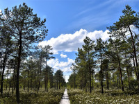 Latgale — Latvijas zaļās dabas sirds