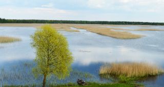 Attēls rakstam: Latgale — Latvijas zaļās dabas sirds