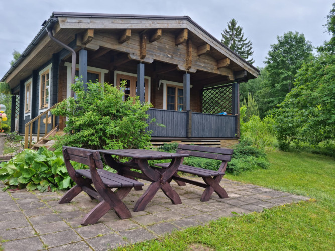 Kur zaļoj munys saknis