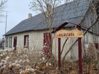 Kur zaļoj munys saknis