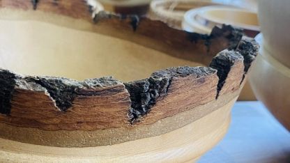 Attēls rakstam: Dagdēnieša Jāņa Viļuma koka māksla