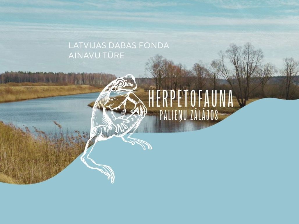 Notiks abiniekiem un rāpuļiem veltīta ainavu tūre Lubāna  mitrājā