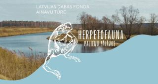 Attēls rakstam: Notiks abiniekiem un rāpuļiem veltīta ainavu tūre Lubāna  mitrājā