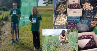 Attēls rakstam: Jersikas mazpulcēni loloja sīpolus