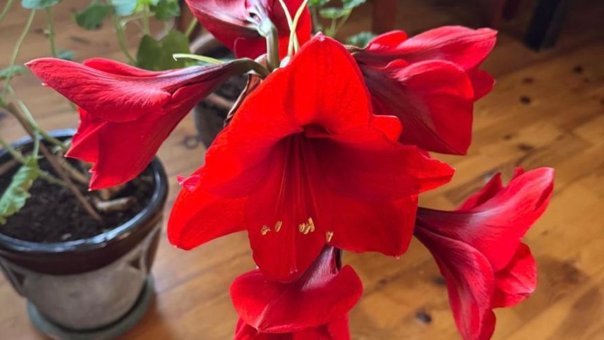 Attēls rakstam: Pleca sarunas