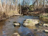 Emociju meklējumos uz Moziču