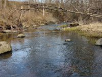 Emociju meklējumos uz Moziču