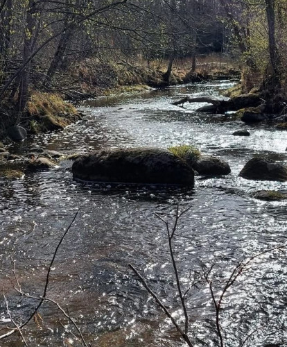 Emociju meklējumos uz Moziču