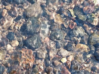 Emociju meklējumos uz Moziču