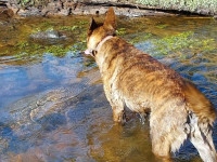 Emociju meklējumos uz Moziču