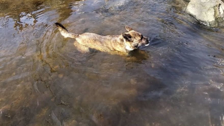 Attēls rakstam: Emociju meklējumos uz Moziču