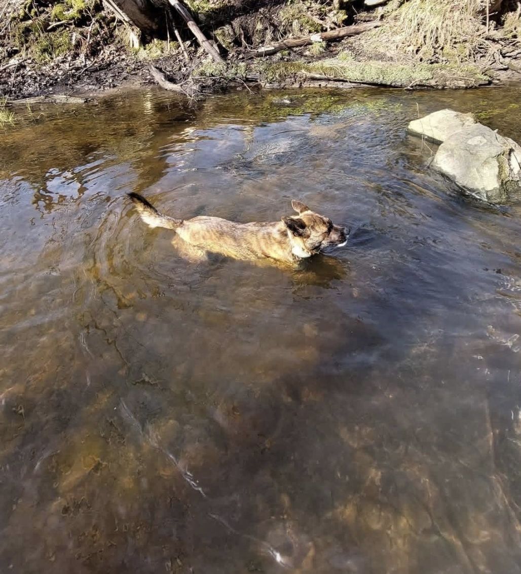 Emociju meklējumos uz Moziču