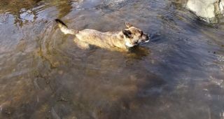 Attēls rakstam: Emociju meklējumos uz Moziču